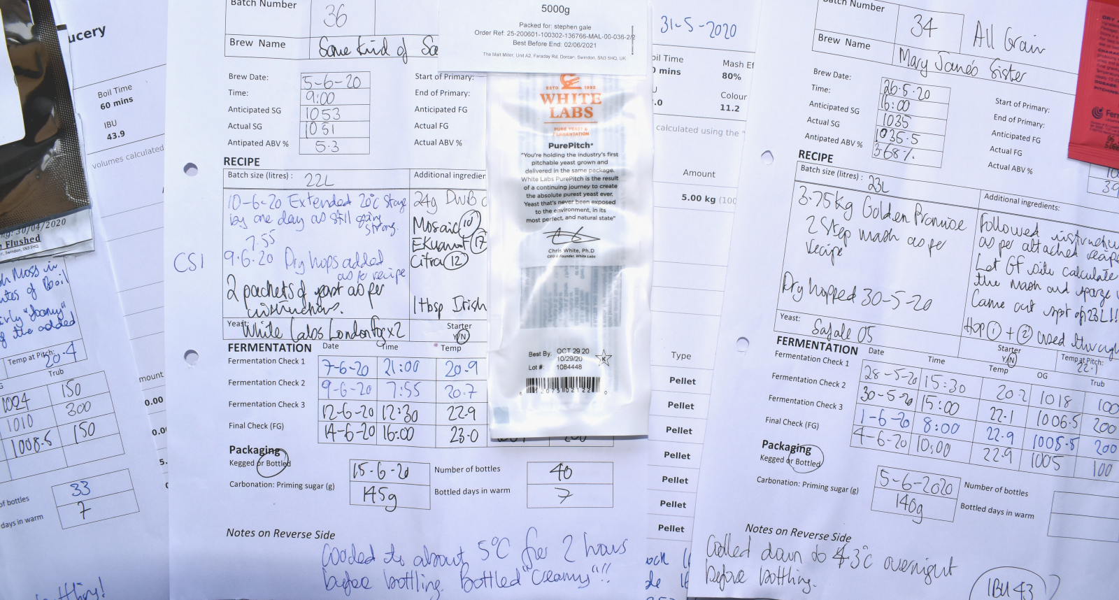 Example of a Brew Day Data sheet